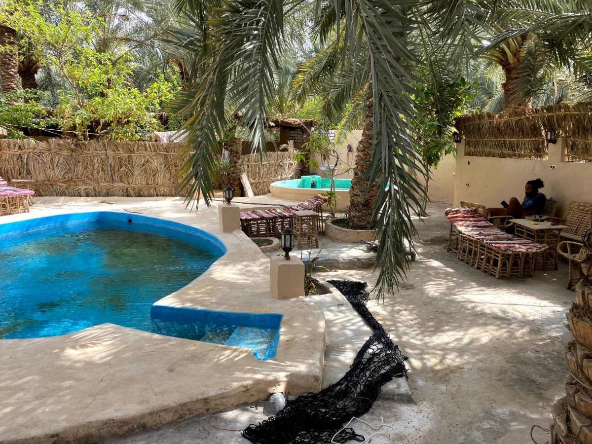 Forest Camp Siwa - كامب الغابة Siwa Oasis Экстерьер фото