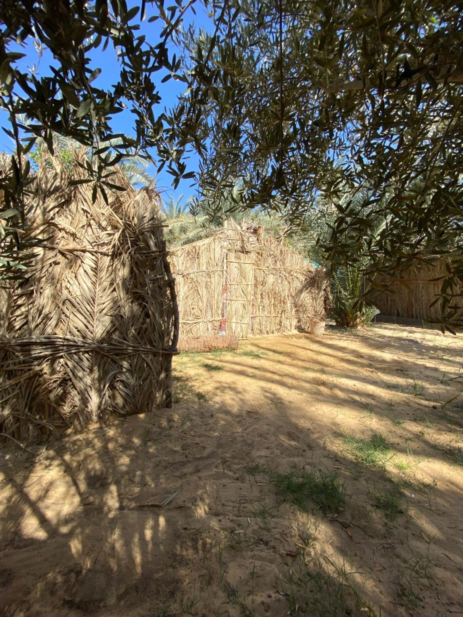 Forest Camp Siwa - كامب الغابة Siwa Oasis Экстерьер фото
