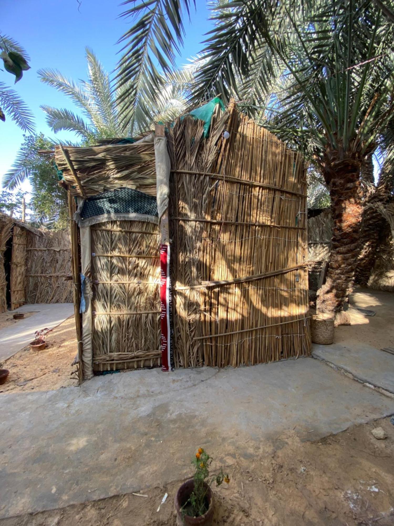 Forest Camp Siwa - كامب الغابة Siwa Oasis Экстерьер фото